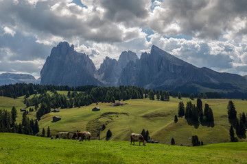 Seiser Alm Alpe di Siusi Dolomites Mountains Italy