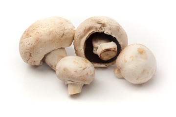 Weisse Champignon Pilze, Freisteller auf weissem Hintergrund