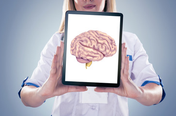 Doctor holding human organs ( brain) and tablet , gray background.