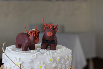 Highland cow cake decoration