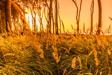 Nienhagen bei sonnenuntergang
