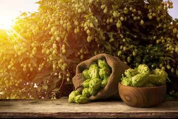 blurred background of hop plantation and sun light and desk