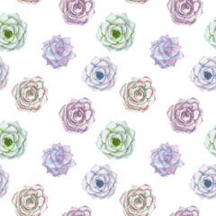 Seamless pattern with the watercolor tender mint and purple succulents, hand drawn on a white background