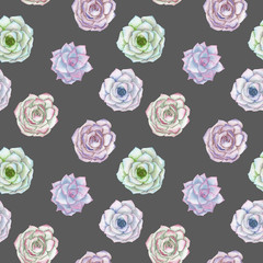 Seamless pattern with the watercolor tender mint and purple succulents, hand drawn on a dark background