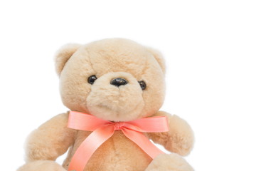 
Dolly Brown teddy bear with a ribbon on white background