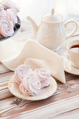 Morning tea with zephyr