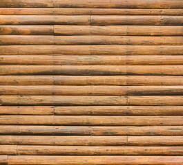 Dove bird sitting in the nest on a palm tree