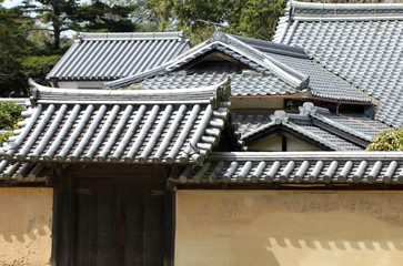 Fototapeta na wymiar Japanese architecture