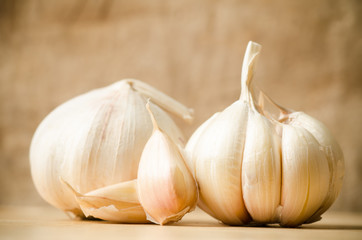 Garlic