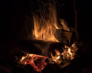 Fototapeta premium Campfire at night
