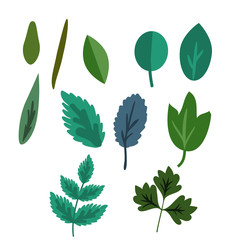 Foliage vector set