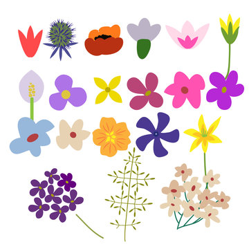 Flowers vector set