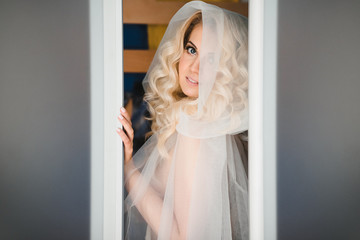 charming and mysterious bride in white veil