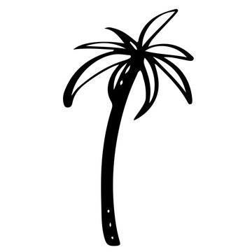 Coconut palm tree logo