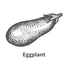 Vector illustration hand-drawn eggplant