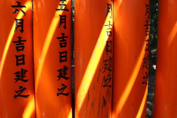 Holiday, Asian, Travel, View, Historical, Tourist, Shinto Shrine