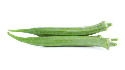 green roselle isolate on white background