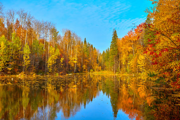 Autumn, yellow trees, water

