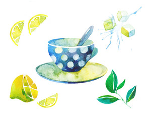 watercolor illustration of tea with mint