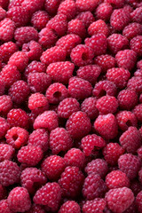 Ripe raspberry background