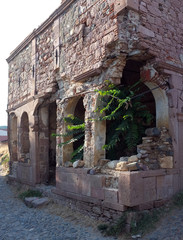 Plants grown inside the old church ruins