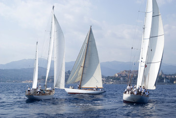 Classic yacht regatta