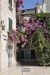 Fototapeta na wymiar Flowering small square in Split, Croatia