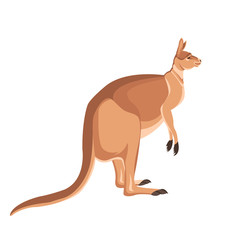 Kangaroo Flat style vector illustration