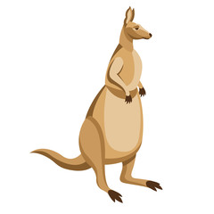 Kangaroo Flat style vector illustration
