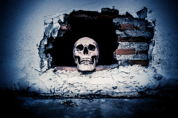Human skull on breaking concrete wall in abandoned house,Horror Background For Halloween Concept And Movie Poster Project