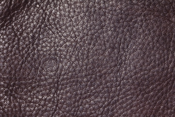 Red brown leather texture or leather background for design with copy space for text or image.