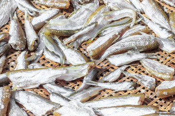 Dried Small fish