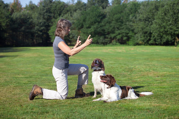 woman teching her two dogs