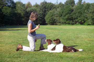 Fototapete bei efototapeten.de bestellen