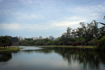 Fototapeta na wymiar Ibirapuera Park, São Paulo, Brazil