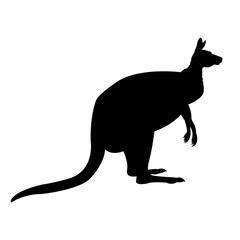 Kangaroo silhouette black vector illustration side view