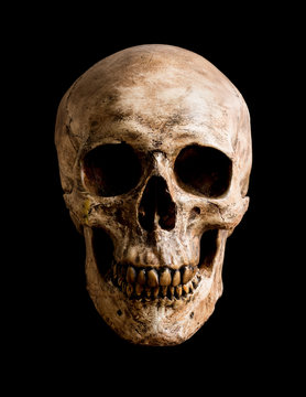 skull isolated on black