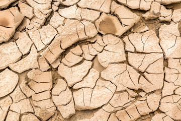 Backgrounds and textures