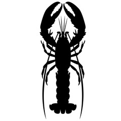 crayfish vector illustration black silhouette isolated realistic