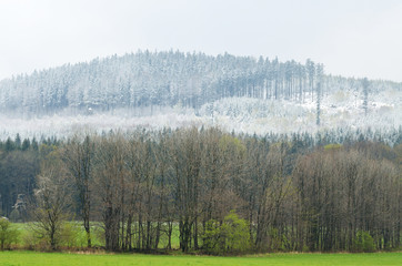 Snowy trees in the mountains and spring in the valley - winter and spring