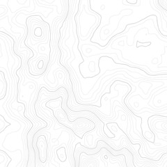 Fototapeta premium Topographic map background concept with space for your copy. Topography lines art contour , mountain hiking trail , Shape vector design. Computer generated .