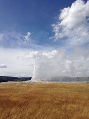 parco di yellowstone