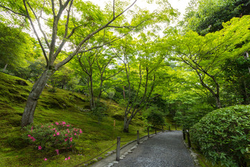 Garden in Tenryu-ji Temple, Kyoto, Japan