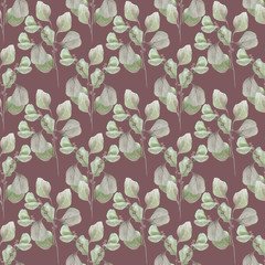 watercolor illustration eucalyptus pattern