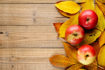 Red apples on autumn leaves top view