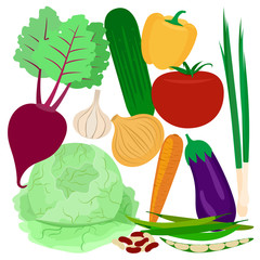 Vegetables flat vector icons illustration