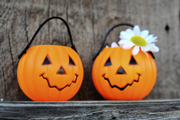 Halloween orange pumpkin