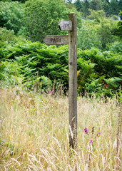 Path sign