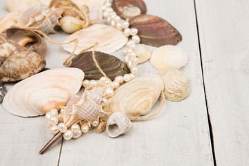 The group of sea shells and pearls on white wooden background