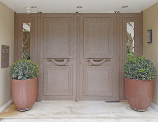 elegant contemporary house entrance with double flowerpots